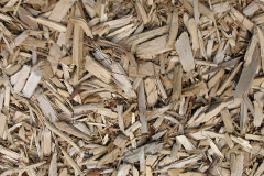 biomass boilers Woodingdean